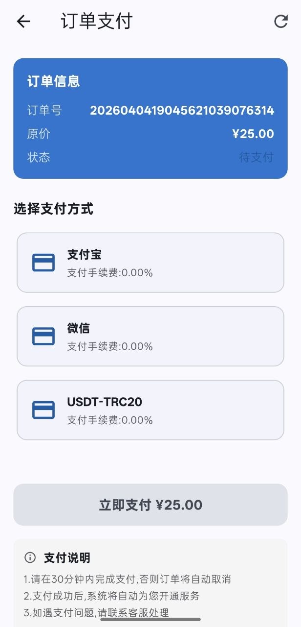 订单支付页，支付宝、微信、USDT 三种付款方式，下方为支付说明