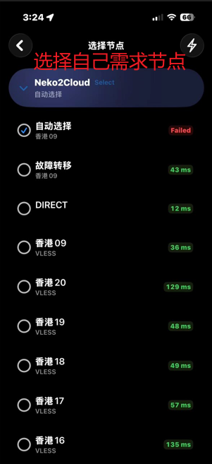 节点列表页，多个节点及其延迟，最上方有自动选择与故障转移两项